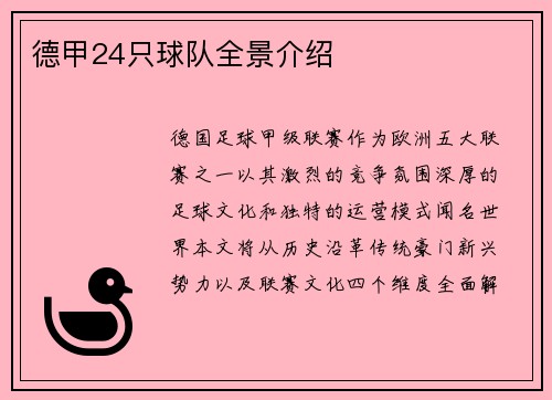 德甲24只球队全景介绍