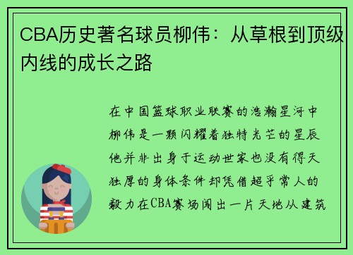 CBA历史著名球员柳伟：从草根到顶级内线的成长之路